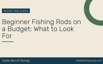 Beginner Fishing Rods on a Budget: What to Look For
