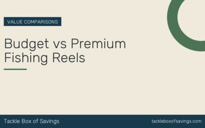 Budget vs Premium Fishing Reels