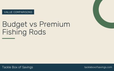 Budget vs Premium Fishing Rods