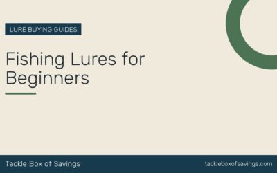 Fishing Lures for Beginners