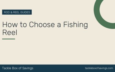 How to Choose a Fishing Reel