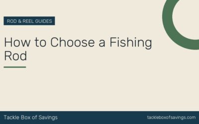How to Choose a Fishing Rod