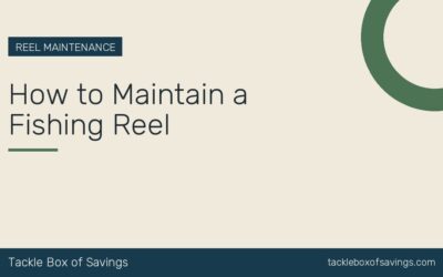 How to Maintain a Fishing Reel