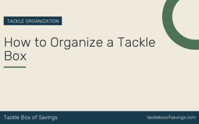 How to Organize a Tackle Box