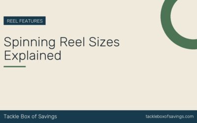 Spinning Reel Sizes Explained
