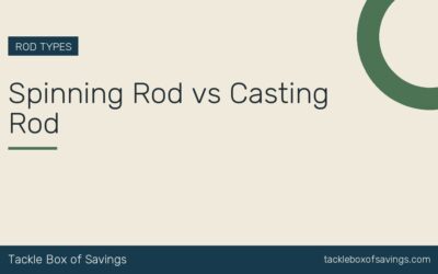 Spinning Rod vs Casting Rod