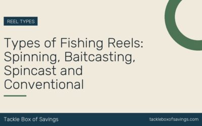 Types of Fishing Reels: Spinning, Baitcasting, Spincast and Conventional